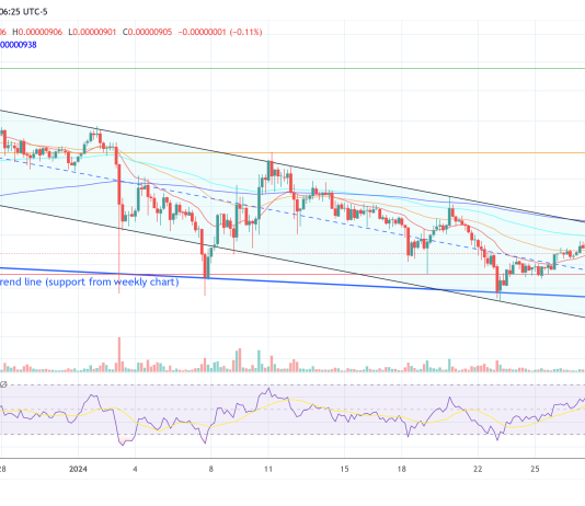 Timeline For All Shiba Inu Initiatives Revealed As SHIB Worth Readies To Soar