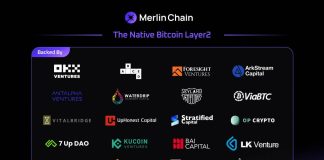 Merlin Chain Secures Funding to Empower “Bitcoin-native” Improvements