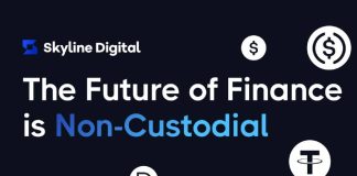 Skyline Digital makes TradFi accessible on Web3
