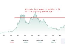 Analyst: After Bitcoin Hits $50,000, Count on One other 100% to 200% Rally