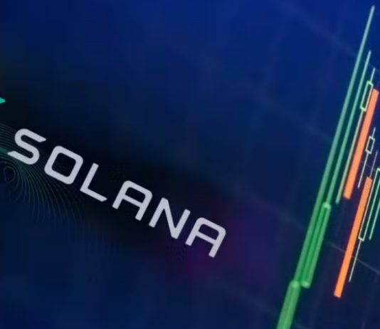 Crypto CEO Says Get Prepared For Solana To ‘Rally Larger Once more’ With New Goal