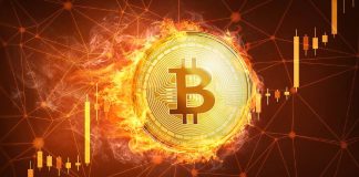 Bitcoin Worth Passes $48,000 – What’s Driving The Surge?