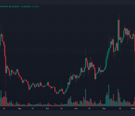 Shiba Inu Data 2,500% Spike In Whale Exercise, SHIB Value About To Skyrocket?