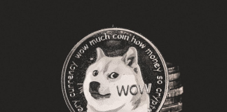 Dogecoin Plunges 5% After Elon Musk Will get Known as Again For Twitter Probe Dogecoin Plunges 5% After Elon Musk Will get Known as Again For Twitter Probe