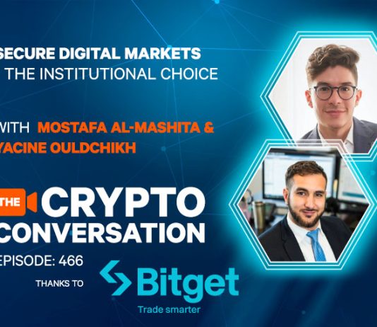 Safe Digital Markets – The Institutional Alternative