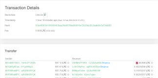 Litecoin Whale Deposits Massive To Binance, LTC’s 3% Drop To Prolong?