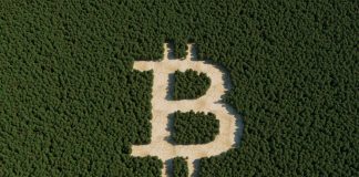 Bitcoin ETF Surges: Final four Days Inflows Outpace Preliminary Weeks Bitcoin ETF Surges: Final four Days Inflows Outpace Preliminary Weeks