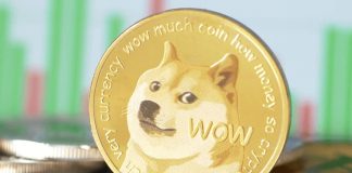 Dogecoin Begins Large Restoration Development, However Can These Components Drive A Rally To $0.2?
