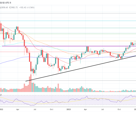 Prime 6 Altcoins That Will Profit From Ethereum’s Dencun Improve: Crypto Analyst