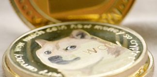 Who Let The DOGE Out? Canine-Themed Cash Soar By 12%, WIF And FLOKI Lead The Approach