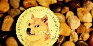 Dogecoin Rallies 50% To Beat Out Avalanche, BONK Overtakes PEPE