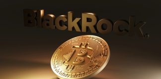 Bitcoin ETF Breaks Information: BlackRock’s IBIT Joins Elite ‘$10 Billion Membership’ Amidst Hovering Demand