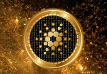 Crypto Alternate Says Cardano Worth Can Attain $165, Right here’s When