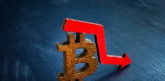 Historic Knowledge Alerts Bitcoin’s Imminent 25% Plunge – Time To Purchase Or Bail?
