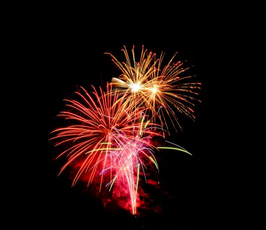 Don’t Miss Out: XRP Bull Flag Indicators Explosive Worth Motion