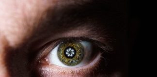 Spain Blocks Worldcoin Mission Over Information Privateness Considerations, WLD Token Slides 7%