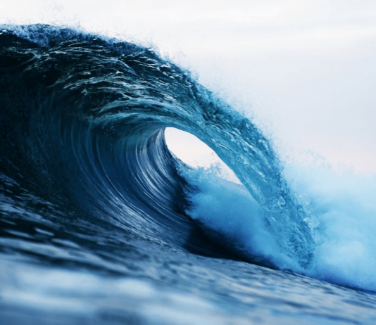 Bitcoin Bulls On Alert: Prime Analyst Anticipates A Massive Spike In The Playing cards