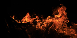 Shiba Inu Mania: Value Surges 60% As Burn Charge Heats Up Over 22,000%