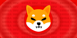 Shiba Inu BONE Token Garners Over 20,000 Picks On Binance Futures NEXT Program