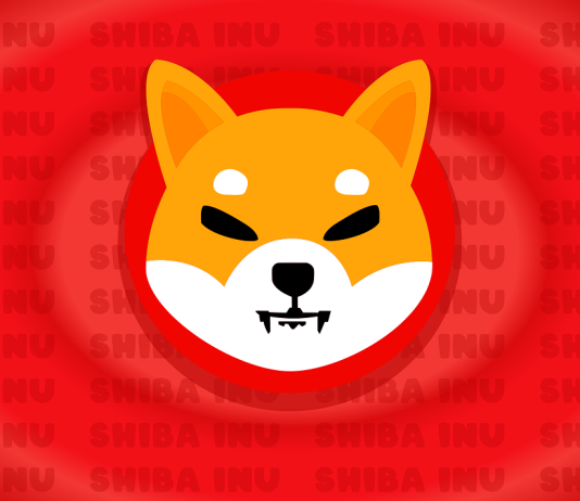 Shiba Inu BONE Token Garners Over 20,000 Picks On Binance Futures NEXT Program