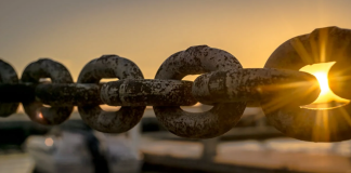Crypto Whales Wager Large On LINK – Is Chainlink The Subsequent Bitcoin? Crypto Whales Wager Large On LINK – Is Chainlink The Subsequent Bitcoin?