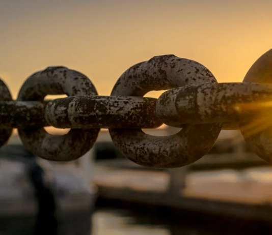 Crypto Whales Wager Large On LINK – Is Chainlink The Subsequent Bitcoin? Crypto Whales Wager Large On LINK – Is Chainlink The Subsequent Bitcoin?