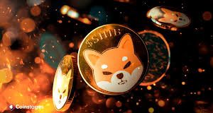 Shiba Inu Whales Are Accumulating SHIB, Do They Know One thing You Don’t? Shiba Inu Whales Are Accumulating SHIB, Do They Know One thing You Don’t?