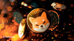 Shiba Inu Whales Are Accumulating SHIB, Do They Know One thing You Don’t?