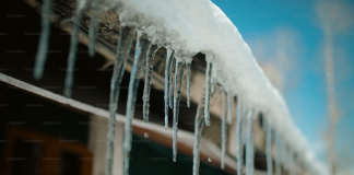 Bitcoin Hodlers Eye Lengthy Time period: $520 Million BTC Go To Chilly Storage