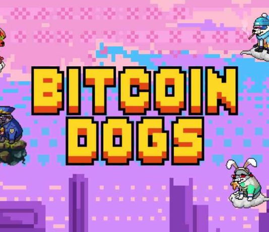 World’s First ICO on Bitcoin Blockchain Nears Ultimate 48 Hours