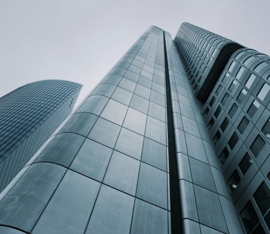 Zooming NEAR: Strong 75% Development Sparks Crypto Frenzy