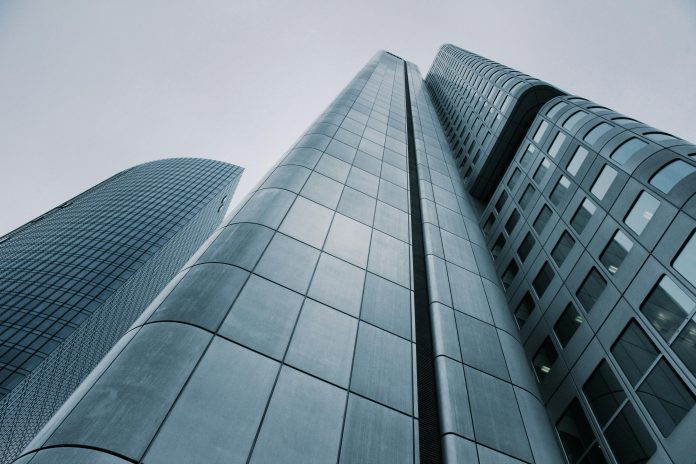 Zooming NEAR: Strong 75% Development Sparks Crypto Frenzy