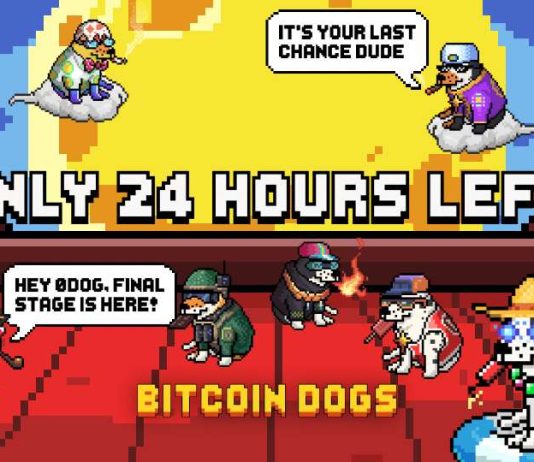 Bitcoin Canines Raises Over $11.5 Million and Enters Last 24 Hours
