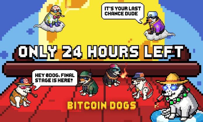 Bitcoin Canines Raises Over $11.5 Million and Enters Last 24 Hours