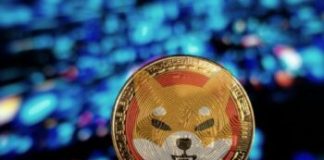 Behind The Scenes Of Shiba Inu 12% Plunge: What On-Chain Evaluation Tells Us