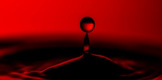 Crypto Carnage: Over $800 Million Wiped Out In Market Plunge