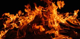 Shiba Inu Worth Soars 10% In Response To Explosive 2,367% SHIB Burn Surge