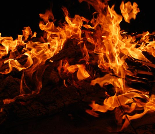Shiba Inu Worth Soars 10% In Response To Explosive 2,367% SHIB Burn Surge