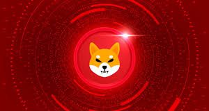 Shiba Inu Open Curiosity Suffers 40% Crash, What Does This Imply For Worth?