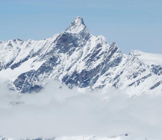 Fantom (FTM) Bull Run: Can FTM Hit $2 After 20% Worth Spike?