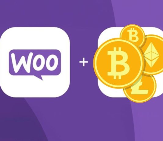 Empowering Retailers: WooCommerce’s Crypto Cost Gateway