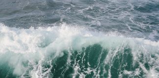 Eyes On Toncoin: Hypothesis Rises After 40% Weekly Surge – What Comes Subsequent?