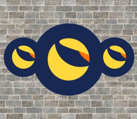 Why Is The Worth Of LUNC And USTC Up Immediately?