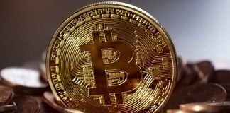 Bitwise CEO Predicts $11 Billion Drop In Bitcoin Provide Put up Halving