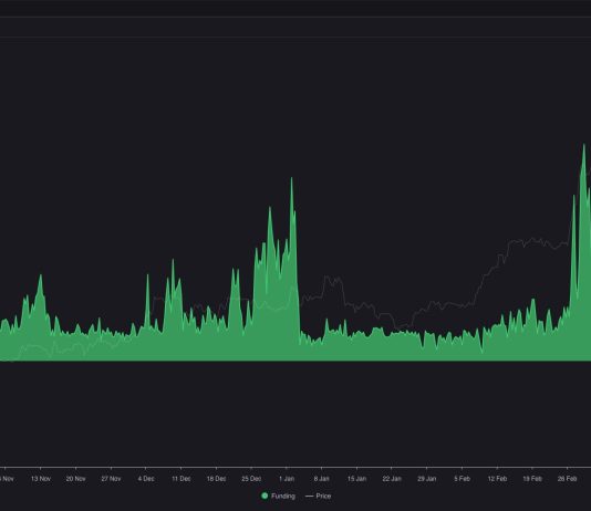 Bitcoin Worth Tumbles Beneath $66,000: Four Main Causes
