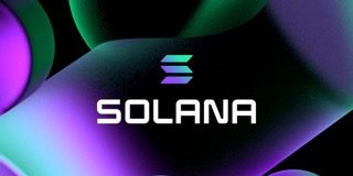 Solana Whales Are Making Strikes – Right here’s The Path They’re Headed In