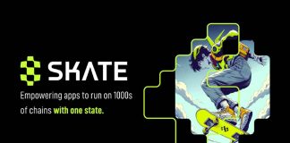 Unified Liquidity Platform Vary Protocol Unveils Skate: The First Common Utility Layer Powering Apps to Run on All Chains With One State