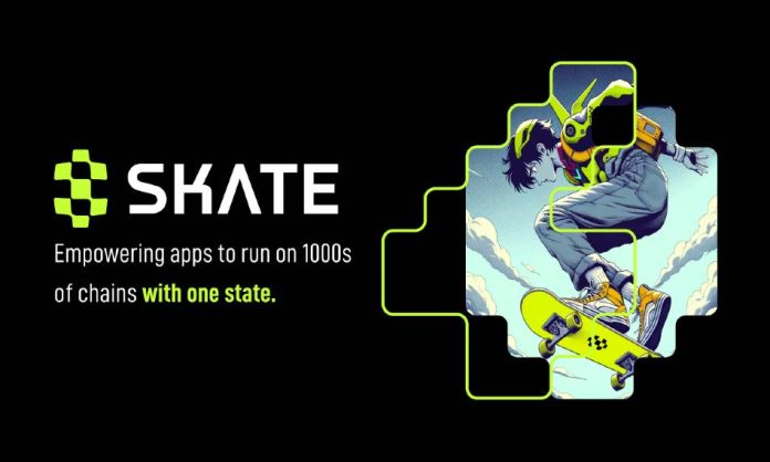 Unified Liquidity Platform Vary Protocol Unveils Skate: The First Common Utility Layer Powering Apps to Run on All Chains With One State