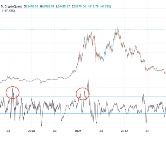 This Bitcoin Indicator Might Have Signaled Newest Market Downturn In Advance