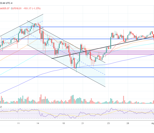 Bitcoin Crash Warning: CryptoQuant CEO Sees LUNA-Like Dangers Forward